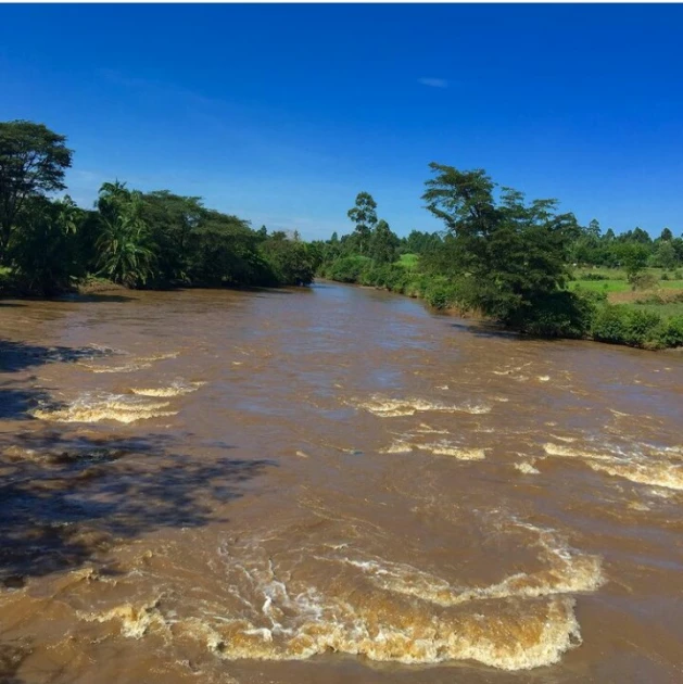 River Nzoia