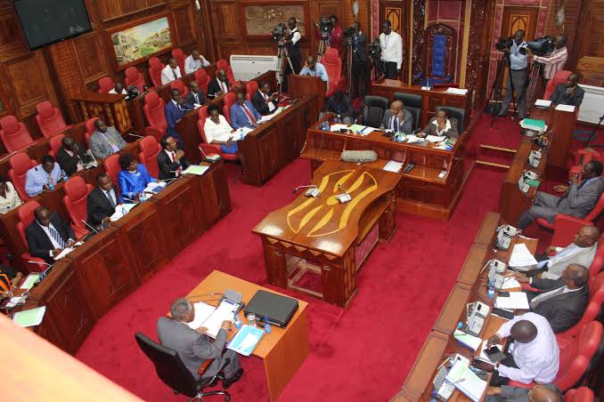 Senate committee reject president Ruto’s nominee Umra Omar for lack of ‘knowledge’ – The Informer