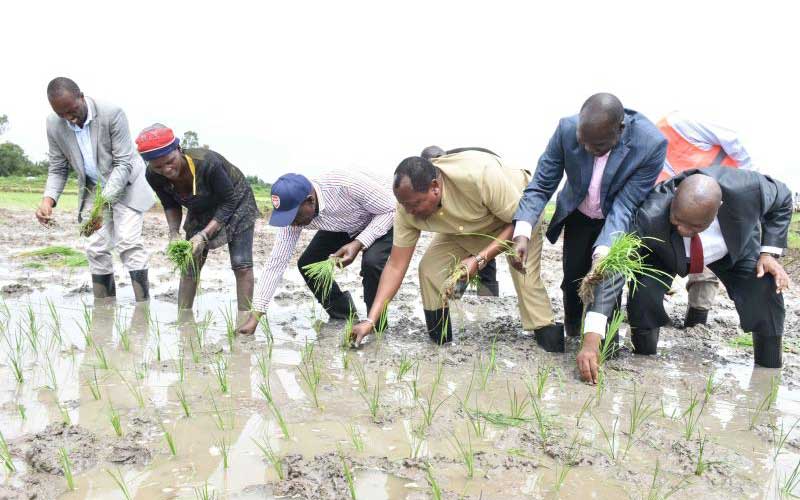 Delayed payments halt projects launched by Ruto