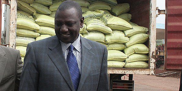 Why Kenya Kwanza’s First Scandal Is Likely To Be The Fertilizer Subsidy 