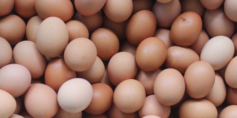 Why Ugandan eggs are breaking prices in Kenya