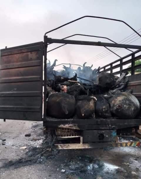 Graphic: Boda Boda Riders Burn a Truck Full of Cattles