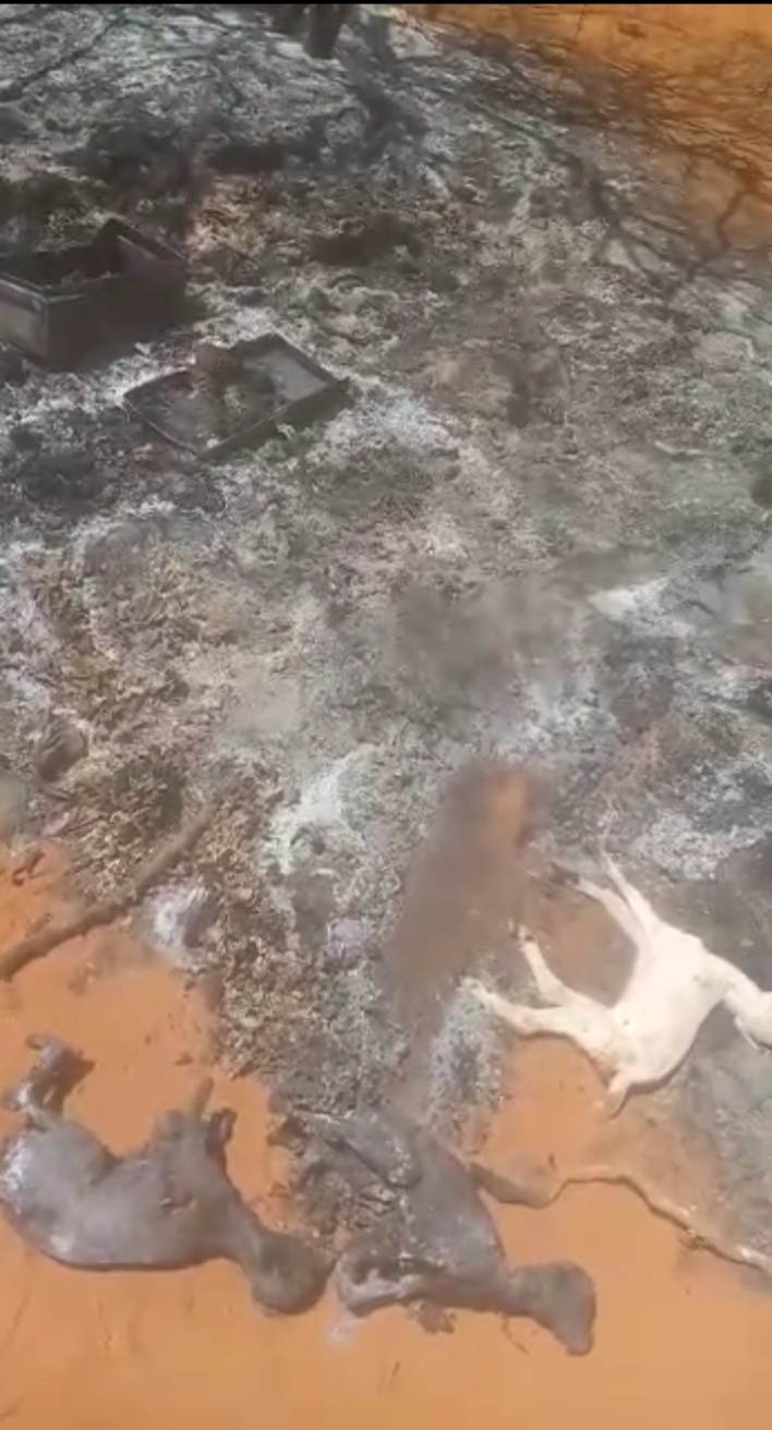 Graphic: Exclusive Video of the effects of Scorched-earth Policy in Wajir County
