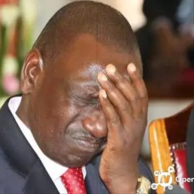 DP Ruto’s party UDA accused of theft