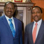 List of Raila’s Roles in Proposed Office of The Official Opposition