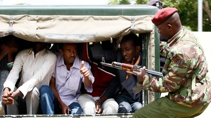 Concerns as Illegal Immigrants Flock Mt Kenya