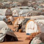 Refugee Crisis: Dadaab and Kakuma Camps to Become Integrated Settlements