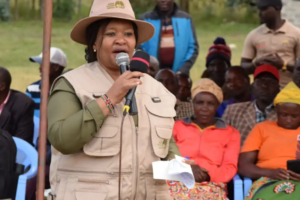 Tourism CS Rebecca Miano Announces the Establishment Of Compensation Committee