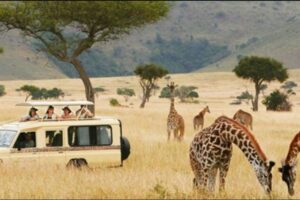 Tourism Industry Stakeholders Call For Prudent Use Of Conservation Funds