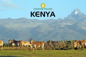 Kenya calls for innovative financing to protect wildlife