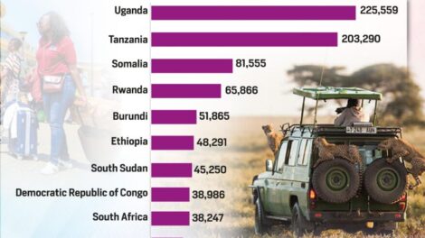 Tourism: African Countries With Most Visitors To Kenya in 2024