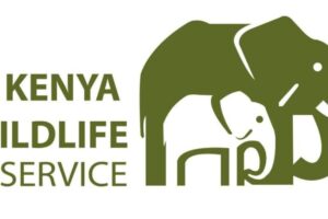 Kenya launches wildlife restocking  to boost coastal tourism