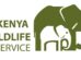 Kenya launches wildlife restocking  to boost coastal tourism