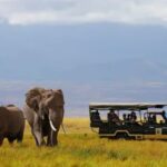 Kenya’s Tourism Appeal Soars: A Top Destination for 2025