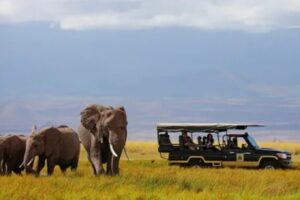 Kenya’s Tourism Appeal Soars: A Top Destination for 2025