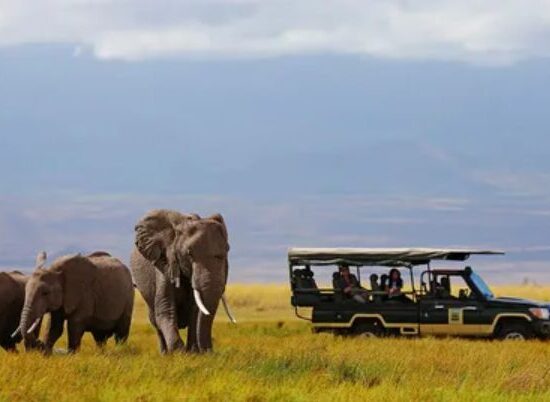 Kenya Records 7.9 Million Tourists in 2025 as Sector Earns KSh500B