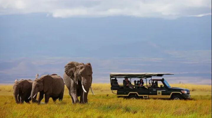 Kenya’s Tourism Appeal Soars: A Top Destination for 2025