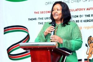 The Tourism Ministry Calls for Visionary Leadership Across Regulatory Agencies