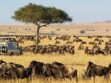 Tourism CS Miano Defends Proposed Hike in National Park Fees