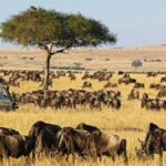 Tourism CS Miano Defends Proposed Hike in National Park Fees
