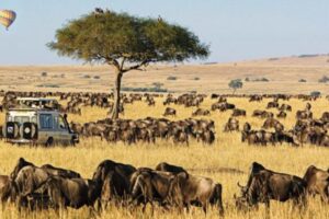 Tourism CS Miano Defends Proposed Hike in National Park Fees