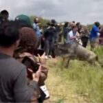 CS Miano Tightens Rules After Tourists Block Wildebeest Crossings at Maasai Mara