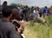 CS Miano Tightens Rules After Tourists Block Wildebeest Crossings at Maasai Mara