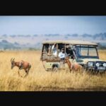 The future of Kenyan tourism: Omni-Channel Booking Models for Safaris