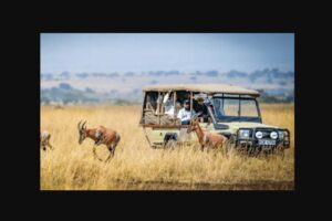 The future of Kenyan tourism: Omni-Channel Booking Models for Safaris