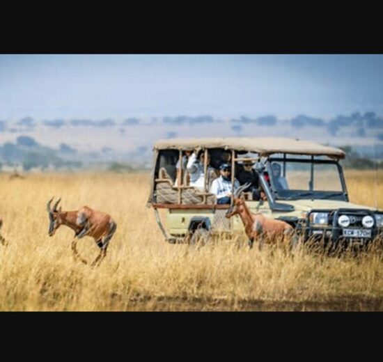 Italy Targets Stronger Trade and Tourism Links With Kenya Through Landmark Culinary Showcase Italy Targets Stronger Trade and Tourism Links With Kenya Through Landmark Culinary Showcase