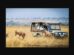 The future of Kenyan tourism: Omni-Channel Booking Models for Safaris