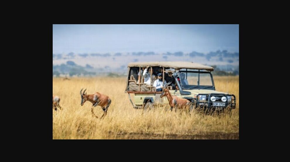 The future of Kenyan tourism: Omni-Channel Booking Models for Safaris
