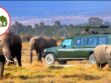 KWS Propeses New Access and Conservation Fees For National Parks, Reserves