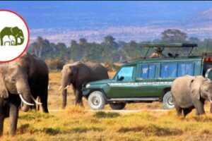 KWS Propeses New Access and Conservation Fees For National Parks, Reserves