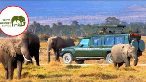 KWS Propeses New Access and Conservation Fees For National Parks, Reserves