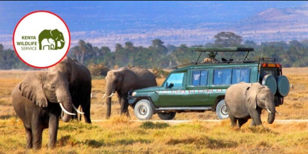 KWS Propeses New Access and Conservation Fees For National Parks, Reserves
