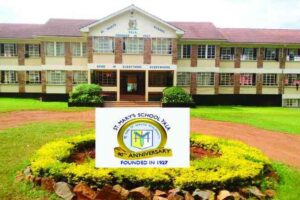 The Yala Truth: Exposing the Deception Behind the St. Mary’s School Yala TikTok Scandal