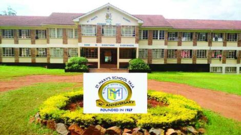 The Yala Truth: Exposing the Deception Behind the St. Mary’s School Yala TikTok Scandal