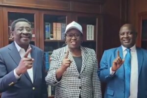 Former Meru Governor Kawira Mwangaza Meets Linda Mwananchi Leaders, Hints at Upcoming Meru Tour