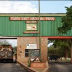 Tourism Ministry Rejects Counties’ Plans to Take Over Tsavo National Parks