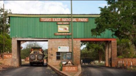 Tourism Ministry Rejects Counties’ Plans to Take Over Tsavo National Parks