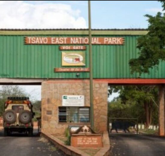 Tourism Ministry Rejects Counties’ Plans to Take Over Tsavo National Parks Tourism Ministry Rejects Counties’ Plans to Take Over Tsavo National Parks
