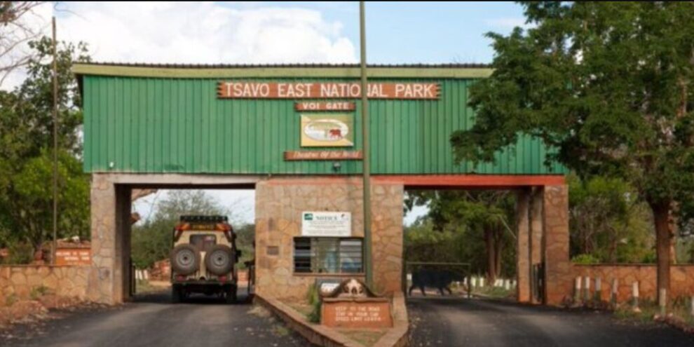 Tourism Ministry Rejects Counties’ Plans to Take Over Tsavo National Parks