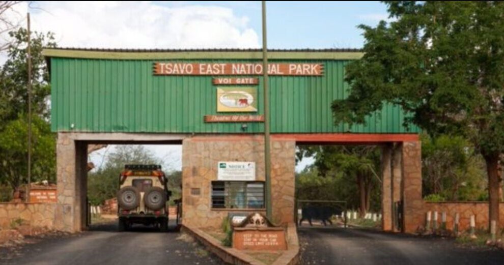 Tourism Ministry Rejects Counties’ Plans to Take Over Tsavo National Parks