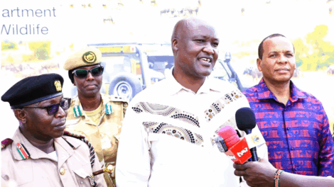 Tana River Wildlife Attack Victims Get Ksh172M in Compensation