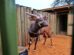 State: Kenya Committed To Wildlife Conservation