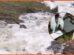 KWS, NEMA Probe Suspected Chemical Contamination in Athi Dam Ecosystem