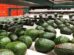 How Ksh 5.8 Billion Worth of Avocados Slipped Through Kenya’s Export Ban During Closed Season